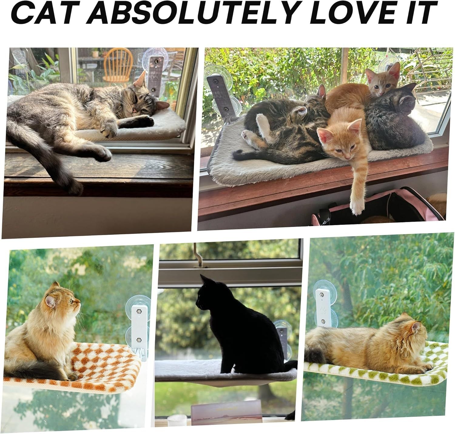 MEWOOFUN Cat Window Hammock With Steel Frame And Strong Suction Cups - Medium Green Indoor Cat Perch Seat