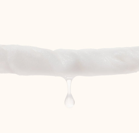 Pet Wipes Cat Dog Wipes